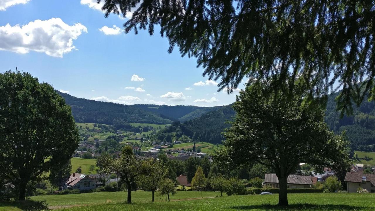 Schwarzwaelder Ferienwohnungen 塞尔巴赫 外观 照片