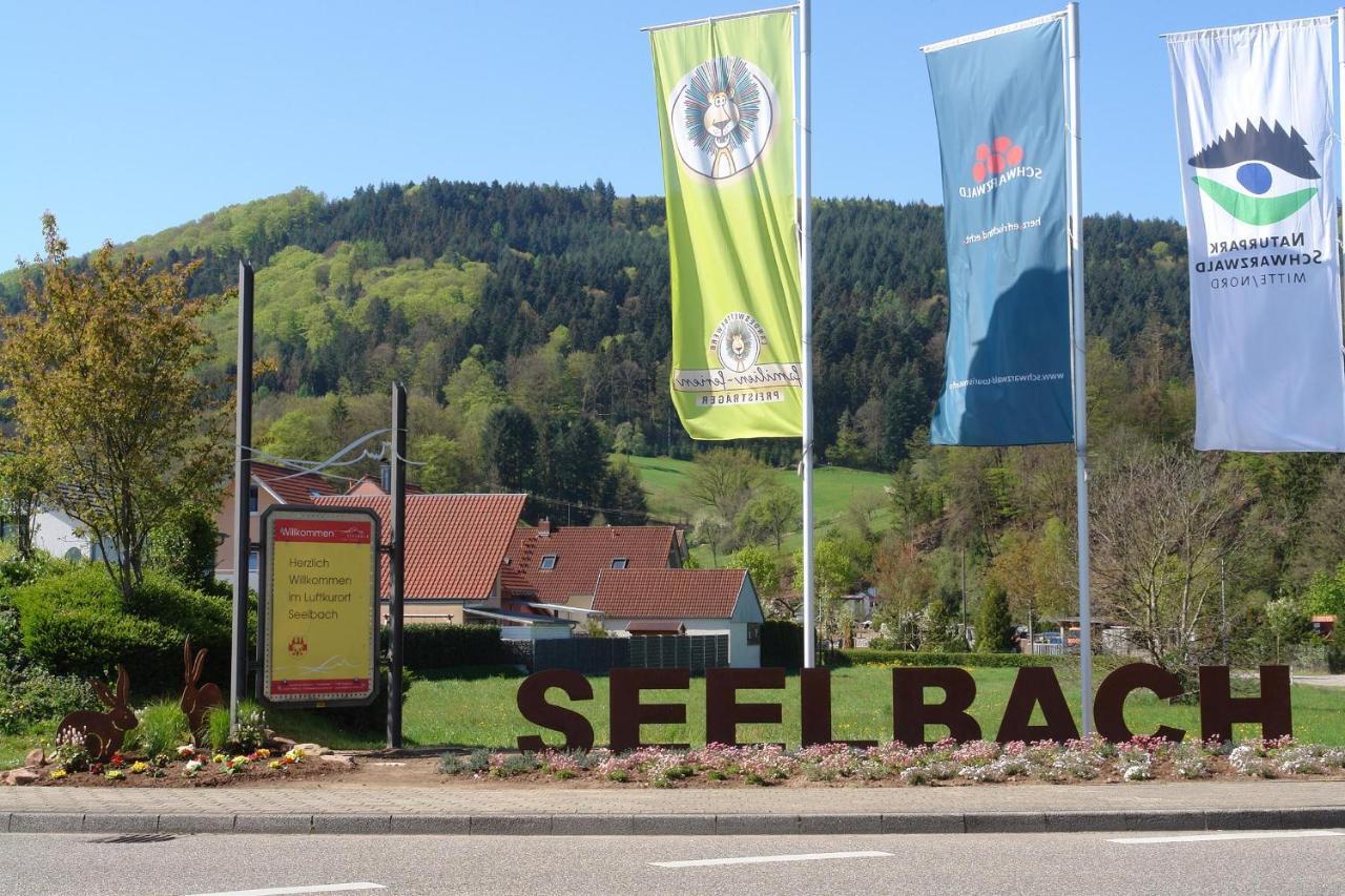 Schwarzwaelder Ferienwohnungen 塞尔巴赫 外观 照片